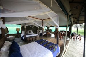 tanzania serengeti naona moru camp13