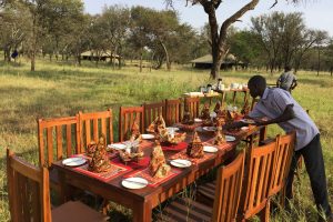 tanzania serengeti naona moru camp16