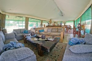 tanzania serengeti naona moru camp18