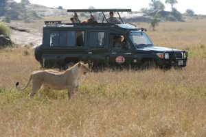tanzania serengeti naona moru camp22
