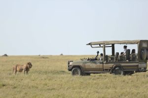 tanzania serengeti naona moru camp23