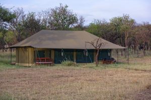 tanzania serengeti naona moru camp24