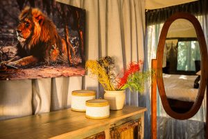 tanzania serengeti naona moru camp4