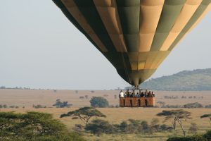 tanzania serengeti naona moru camp8
