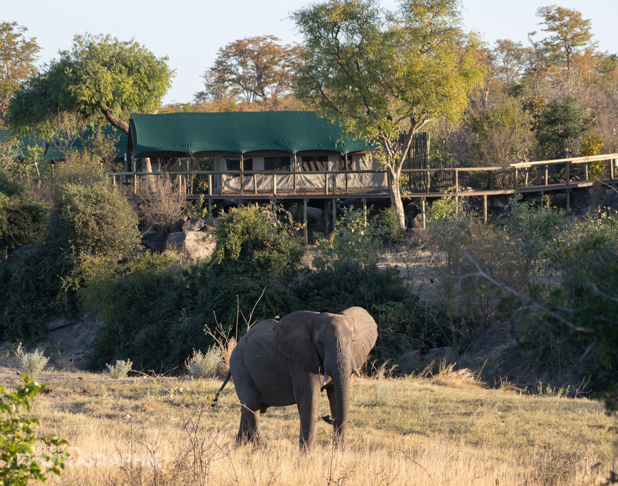 zimbabwe hwange deteema springs camp3