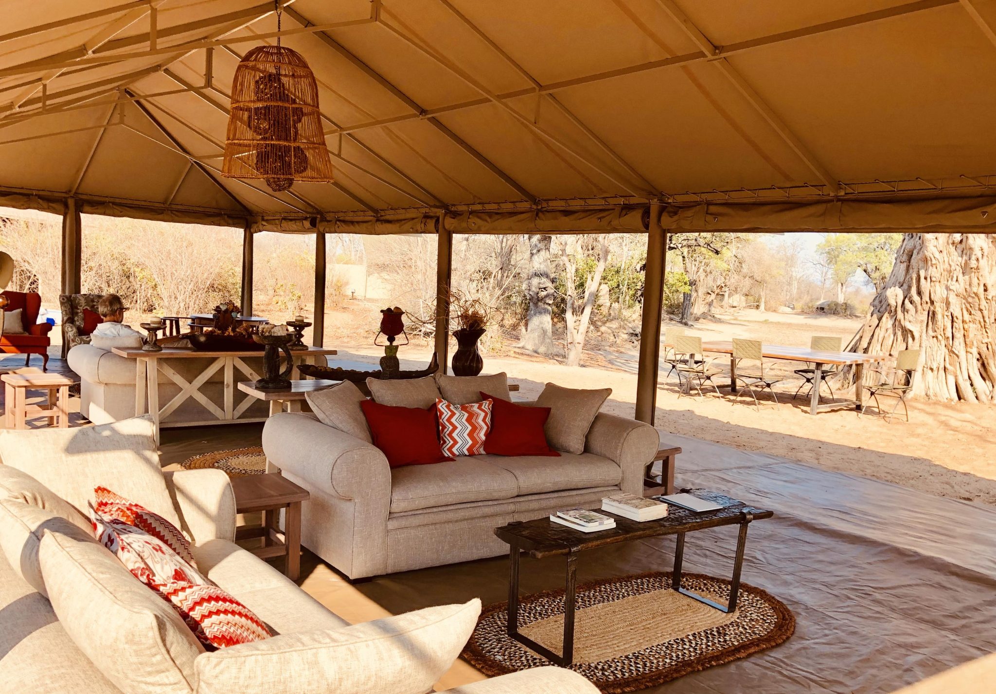 zimbabwe mana pools ingwe pan11