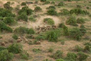 kenya rift valley shompole wilderness camp 1
