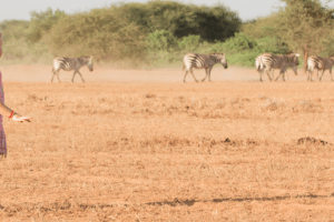 kenya rift valley shompole wilderness camp 19