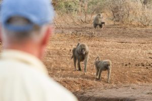 kenya rift valley shompole wilderness camp 3