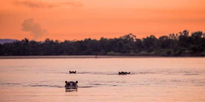 Chikunto Safari Lodge Zambia South Luangwa1