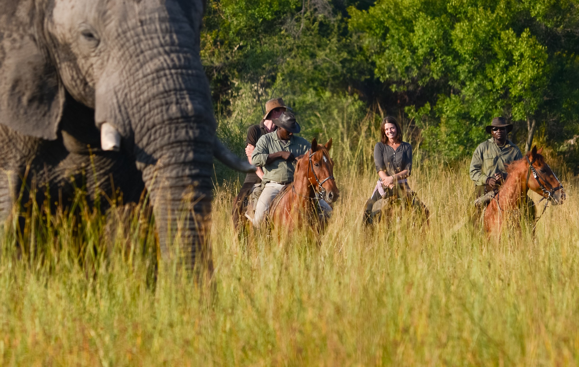 Macatoo Camp Horseback Botswana2