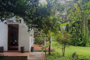 The Maun Studios Safari Botswana Maun Town Accomodation1
