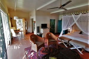 The Maun Studios Safari Botswana Maun Town Accomodation10