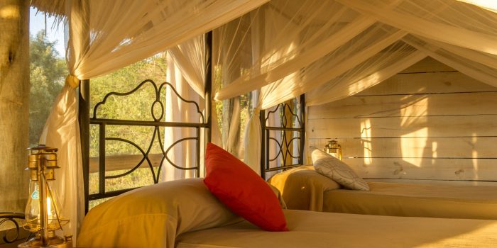 Burunge Tented Lodge Tarangire Safari Frank11