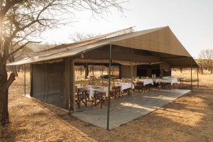 Serengeti Ndutu Kati Kati Tented Camp Safari Frank Tanzania10