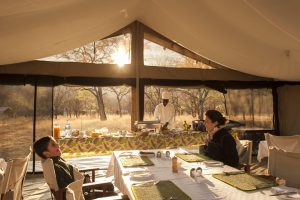 Serengeti Ndutu Kati Kati Tented Camp Safari Frank Tanzania5