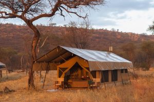 Serengeti Ndutu Kati Kati Tented Camp Safari Frank Tanzania9