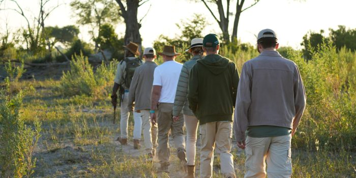 Atzaro Okavango Botswana Safarifrank Authentic Safari Holiday53