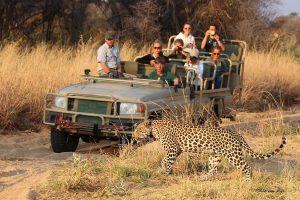 Okunjima luxury bush camp namibia32