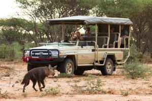 Okunjima luxury bush camp namibia43