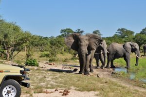 Ghoha Hills Savuti Botswana SafariFrank Botswana3