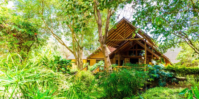arumeru river lodge safari frank namibia8
