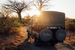 Kokoko Camp Tanzania luxury accomodation private38