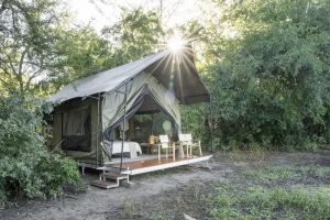 Mozambique Gorongosa Safaris Chicari Camp (1)
