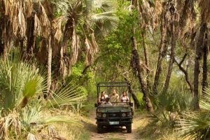 Mozambique Gorongosa Safaris Chicari Camp (1)