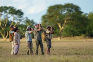 Mozambique Gorongosa Safaris Chicari Camp (2)
