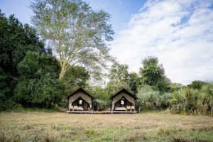 Mozambique Gorongosa Safaris Chicari Camp (5)