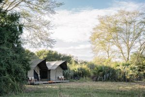 Mozambique Gorongosa Safaris Chicari Camp (7)