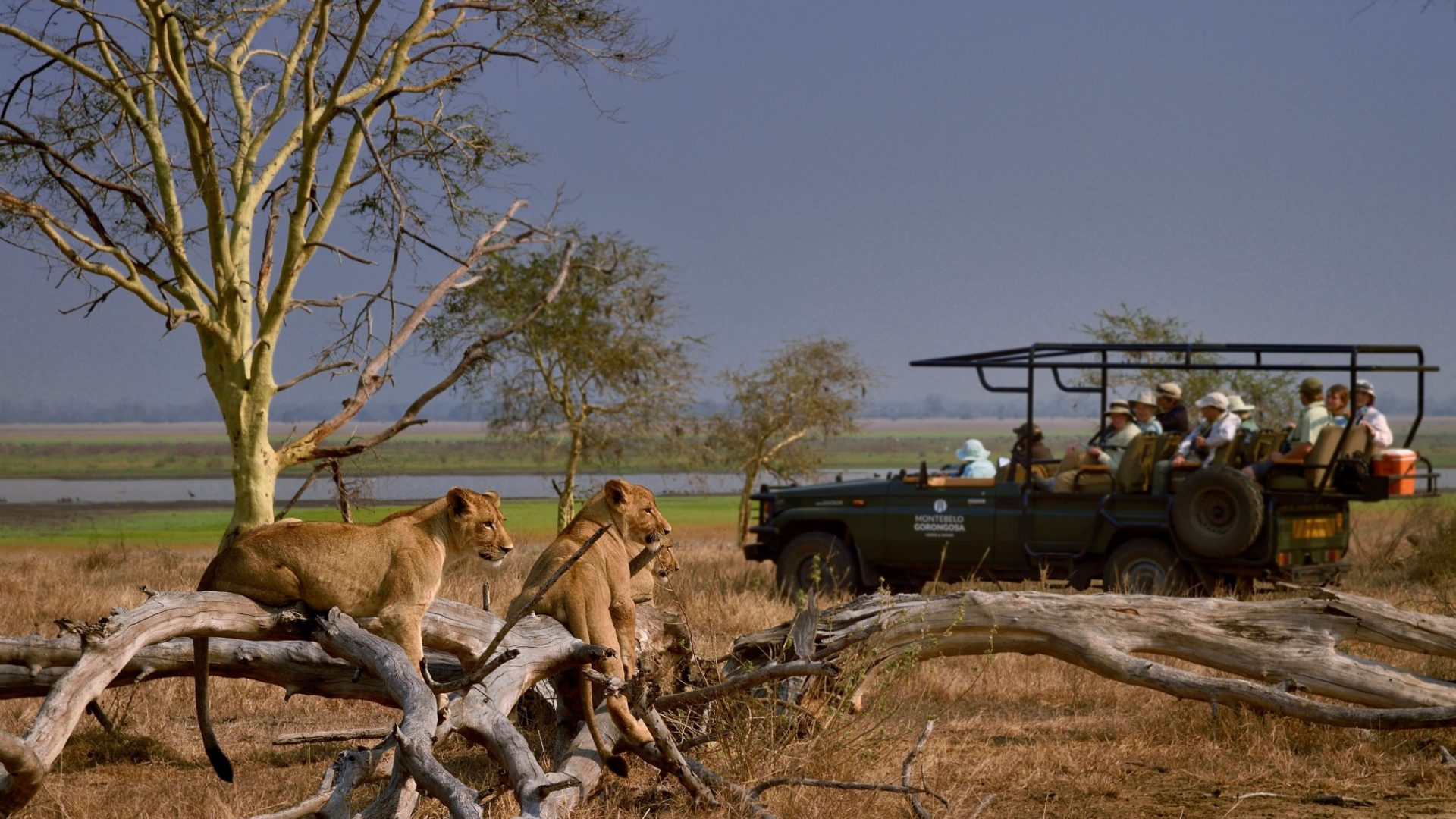 Mozambique Gorongosa Safaris Muzimu Lodge (1)