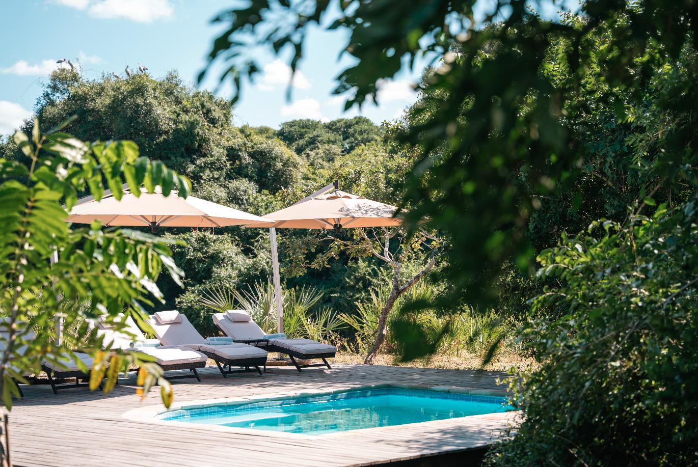 Mozambique Gorongosa Safaris Muzimu Lodge (21)