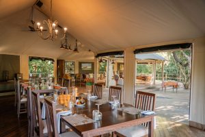 Mozambique Gorongosa Safaris Muzimu Lodge (31)