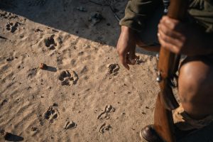 Mozambique Gorongosa Safaris Muzimu Lodge (32)