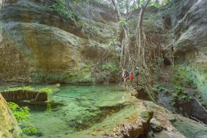 Mozambique Gorongosa Safaris Muzimu Lodge (4)