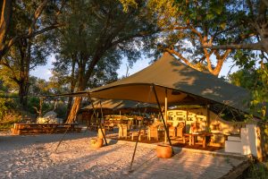 botswana okavango delta maxa camp 37