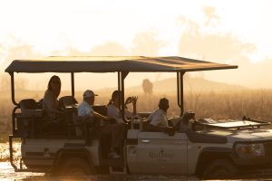 botswana okavango delta maxa camp 4