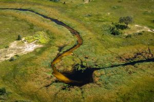 botswana okavango delta maxa camp 8
