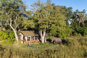 Botswana Monachira Camp (13)