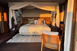 Botswana Okavango Delta Treehouse Setari (1)