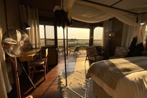 Botswana Okavango Delta Treehouse Setari (28)