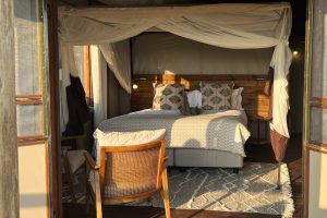 Botswana Okavango Delta Treehouse Setari (29)