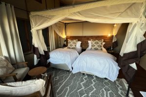 Botswana Okavango Delta Treehouse Setari (4)