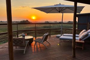 Botswana Okavango Delta Treehouse Setari (6)