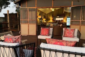 Botswana Okavango Delta Treehouse Setari (8)
