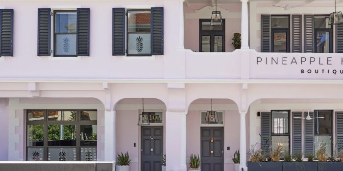 Cape Town Pineapple House (4)
