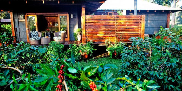 Elewana Arusha Coffee Lodge (11)