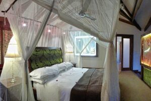 Elewana Arusha Coffee Lodge (9)